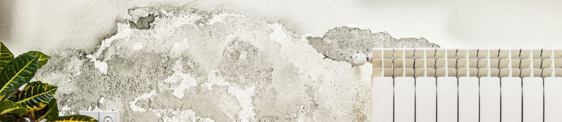 Istockphoto 482808792 2048x2048