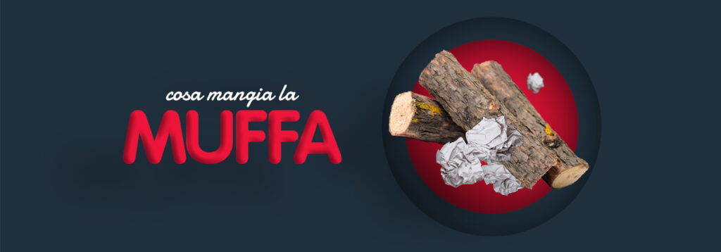 Muffa cosa mangia blog2