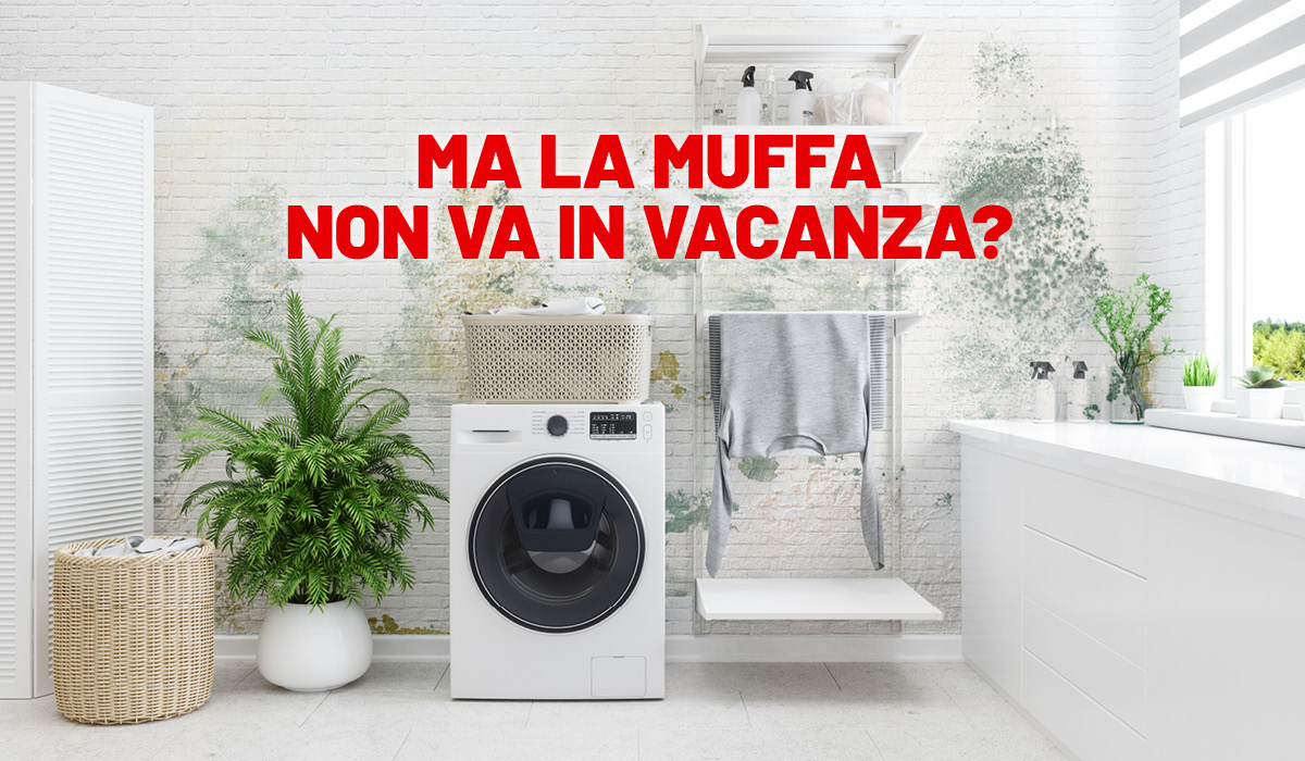 News tecnostuk muffa estate